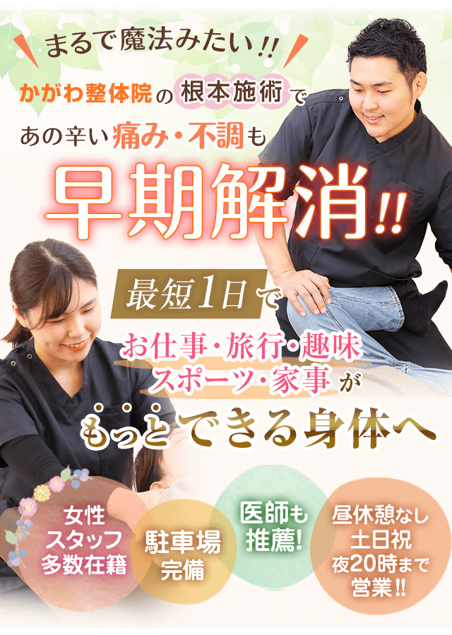 接骨院　整体院　明日からできる来院数倍増ノウハウ DVD main_img_sp.png